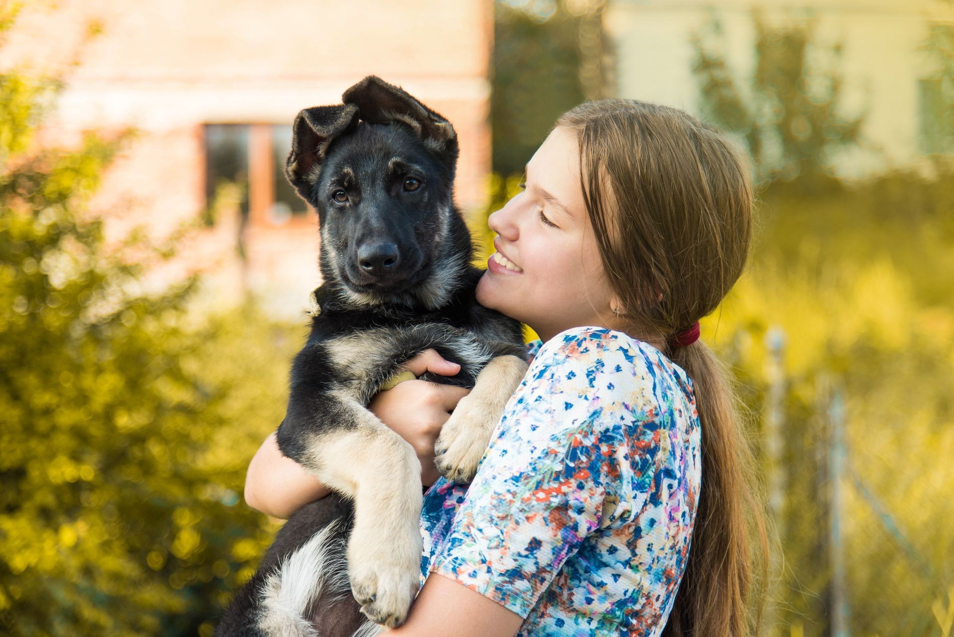 Cute teenage girl hugging a german shepherd puppy. Cute young woman with a puppy dog in nature.