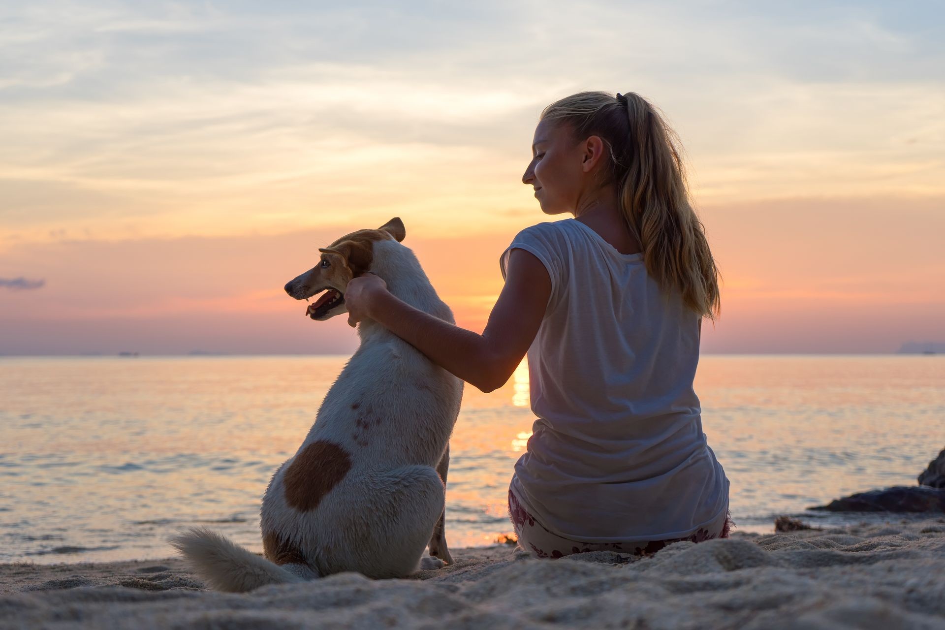 The young girl sits on sand with a dog, on the beach, the island Samui, Thailand, take a selfie with a dog